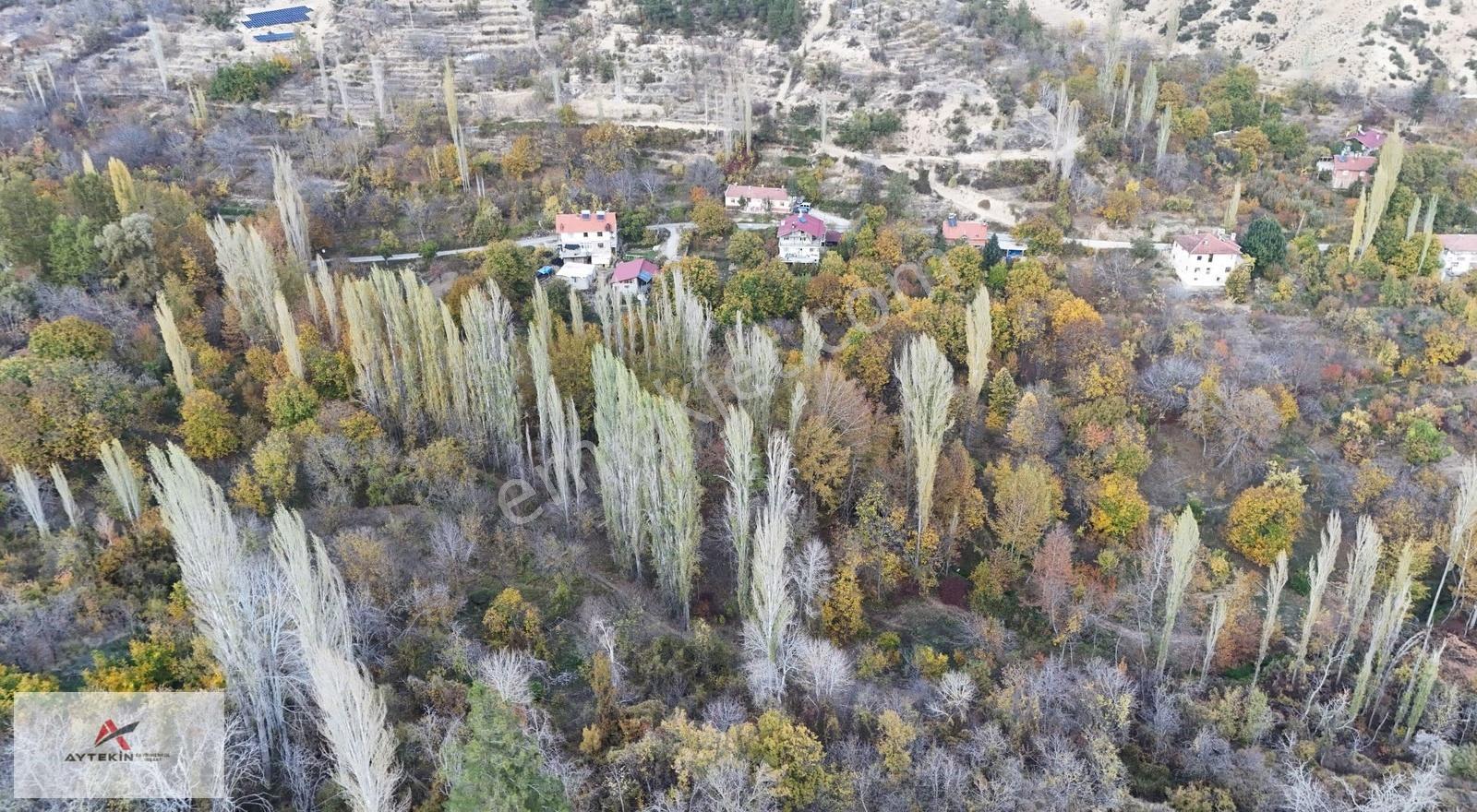 Ermenek Elmayurdu Mahallesinde 234 M² Müstakil Tapulu Bahçe - Görsel 5