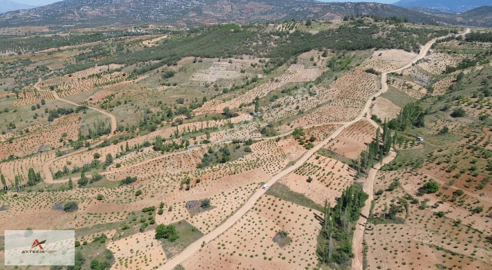 Bozkır Hamzalar Mahallesinde 259 M² Müstakil Tapulu Bahçelik - Görsel 7