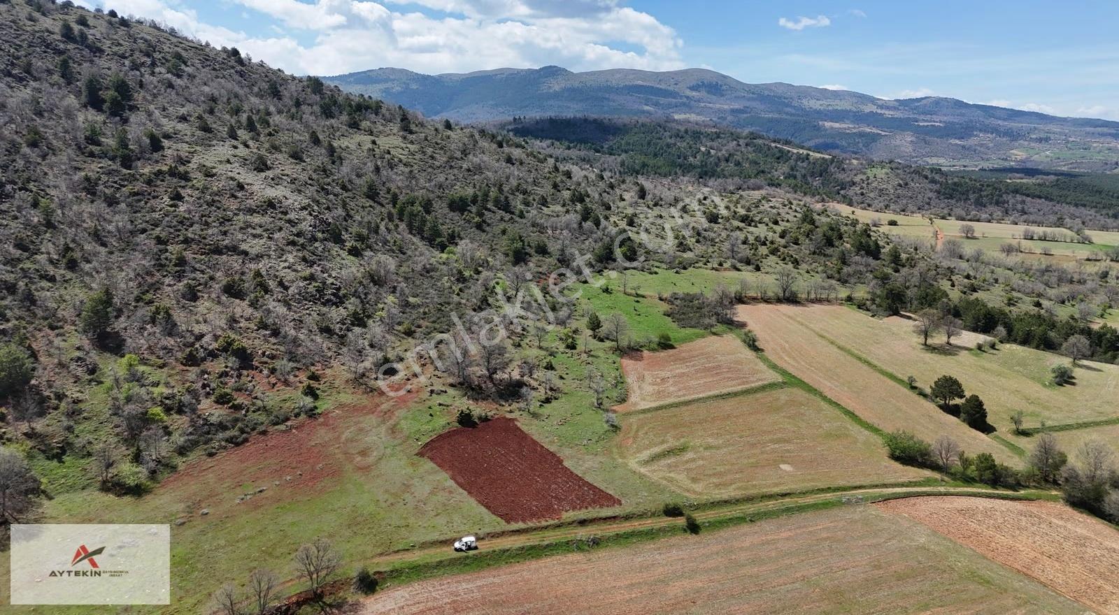 Doğanhisar Kemer Mahallesinde 999 M² Müstakil Tapulu Tarla