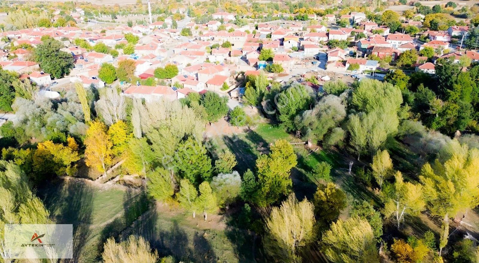 Doğanhisar Koçaş Mahallesinde Yerleşimin Yanında Müstakil Bahçe - Görsel 7