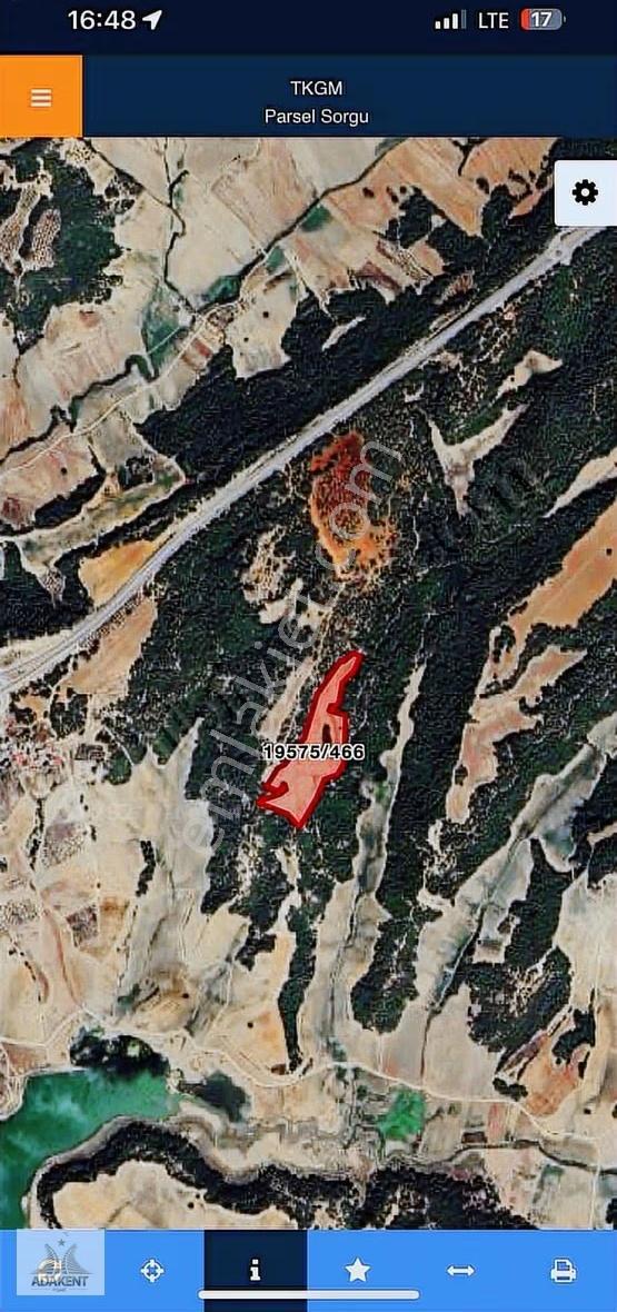 Adakent Den Yörük Ormanı Yakını Mükemmel Konumda Hisse - Görsel 5