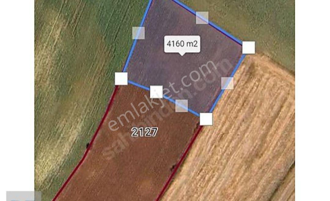 Sarılar Mah.asfalta 3.parsel 4162 M2 Satılık Hisse/muvakkatnamel - Görsel 3