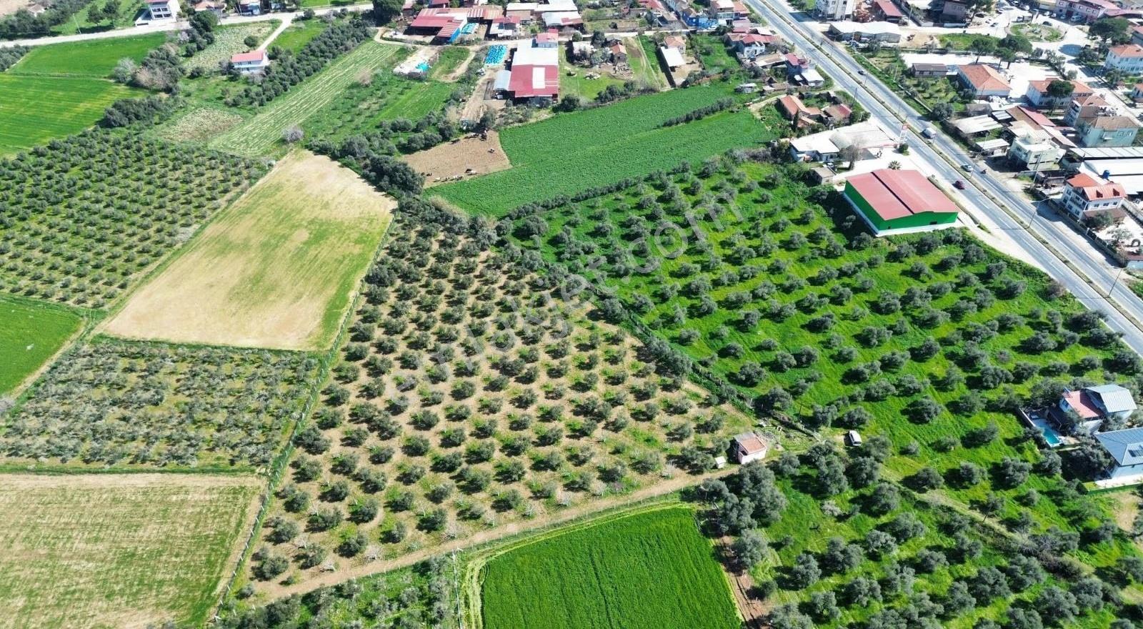 Tire Gökçen Yolu Üstünde 9912 M2 Elektrik Suyu Evi Olan Tarla - Görsel 7