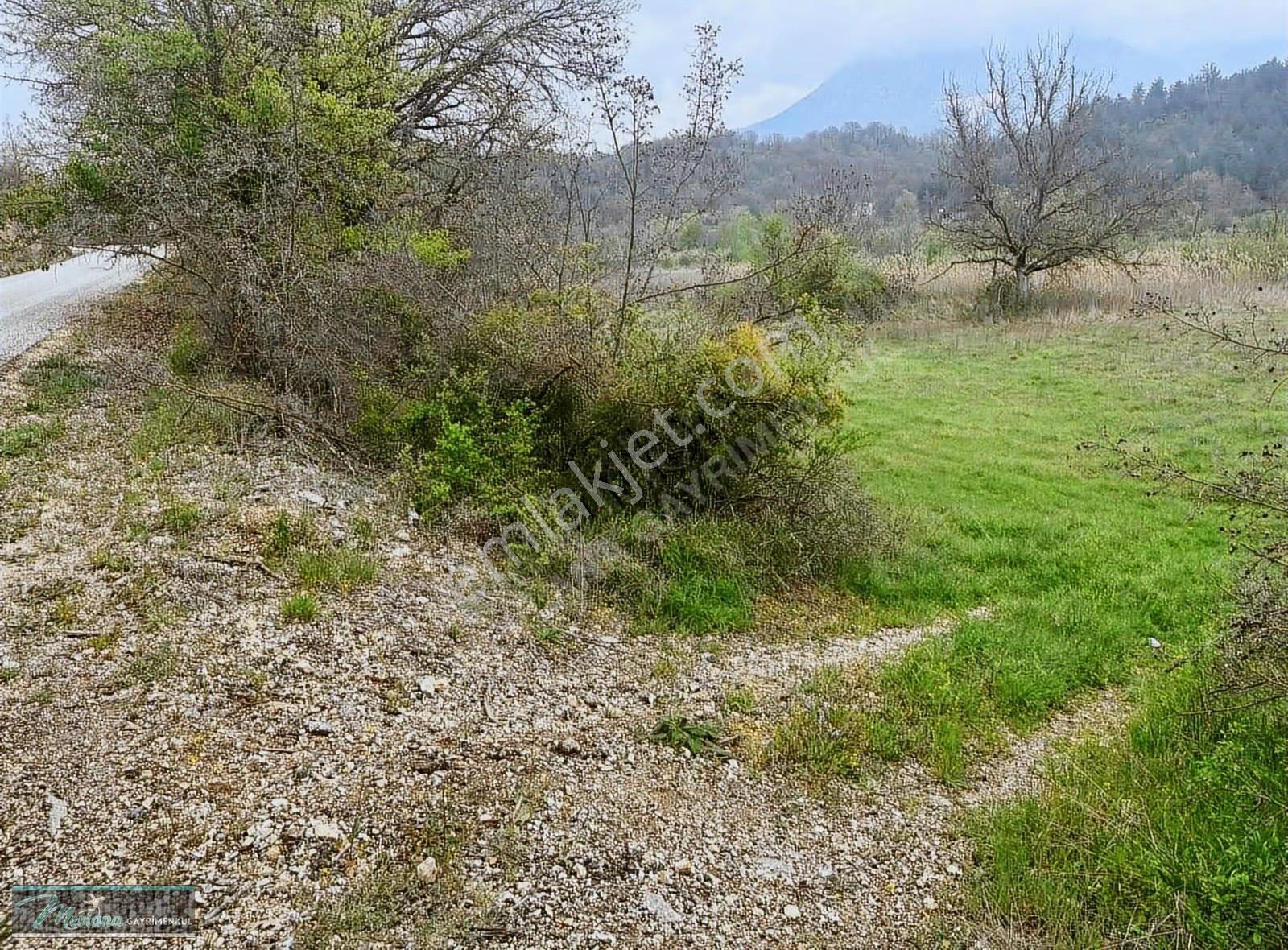 Bilecik Gölpazarı Bayat'ta Satılık 2.617 M² Arsa - Fırsat! - Görsel 9
