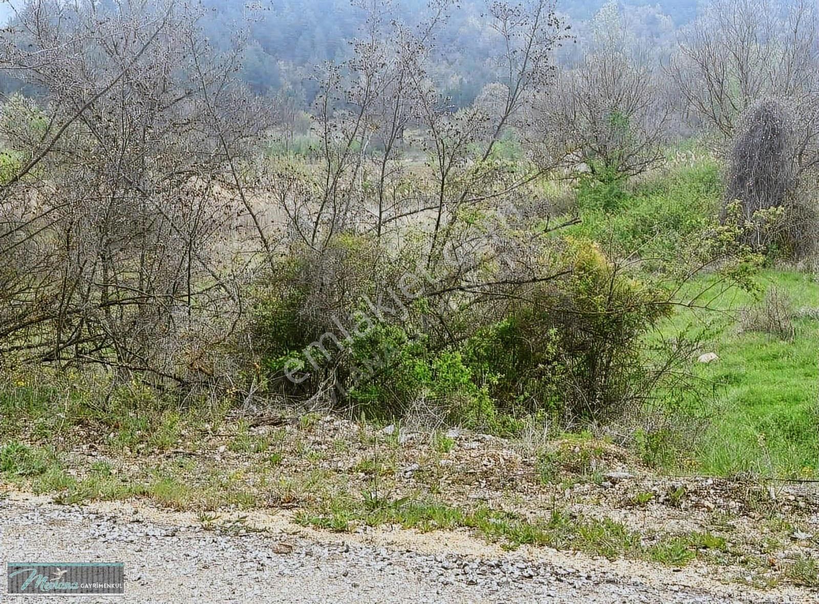Bilecik Gölpazarı Bayat'ta Satılık 2.617 M² Arsa - Fırsat! - Görsel 13