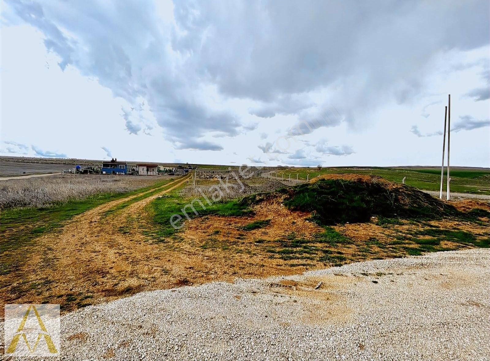 Topaklı 500 M2 Satılık Hobi Bahçesi - Görsel 8
