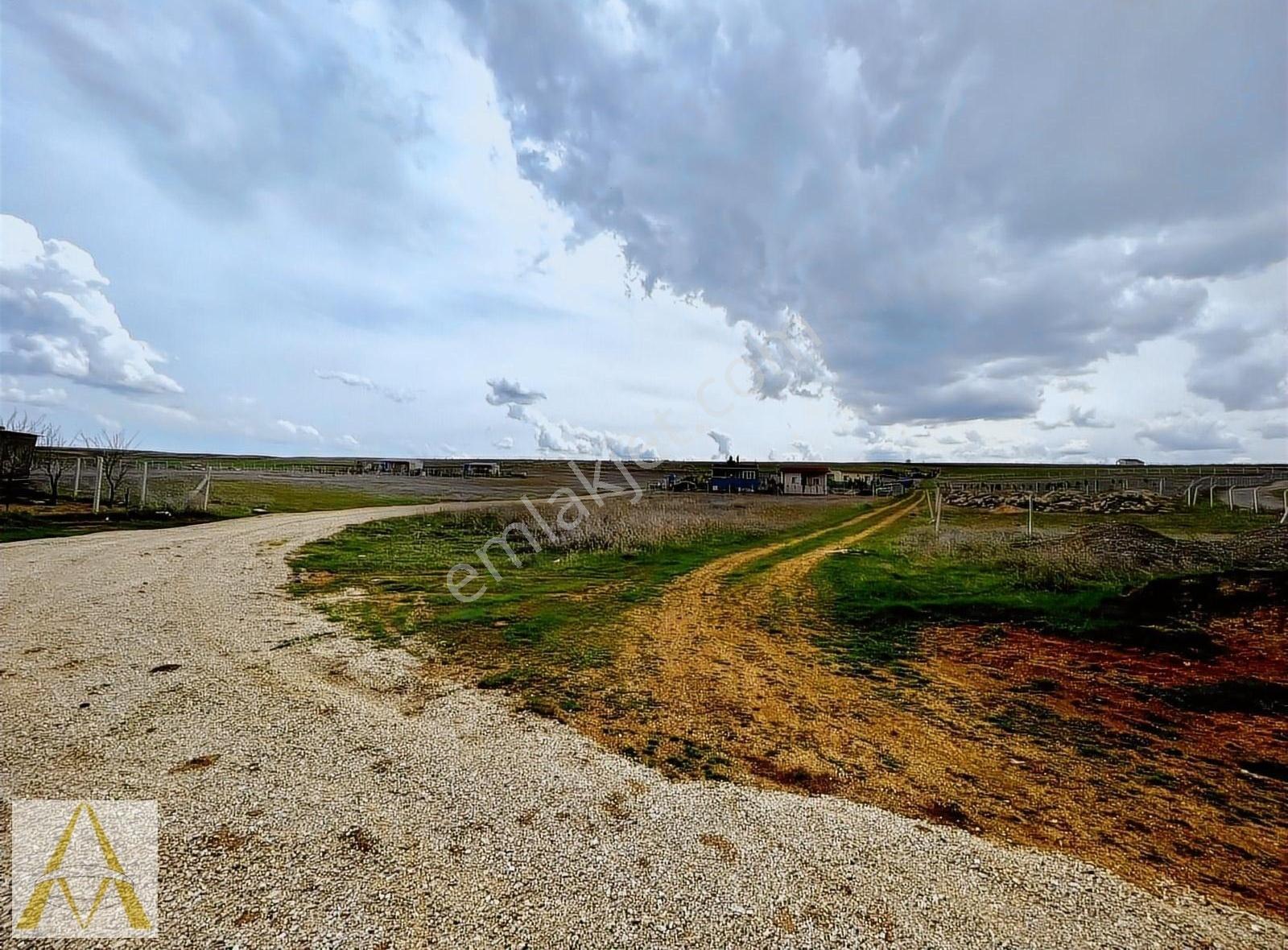 Topaklı 500 M2 Satılık Hobi Bahçesi - Görsel 6