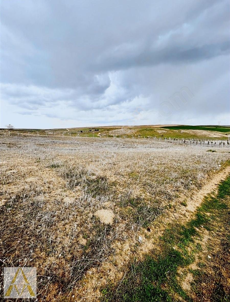 Topaklı 500 M2 Satılık Hobi Bahçesi - Görsel 16