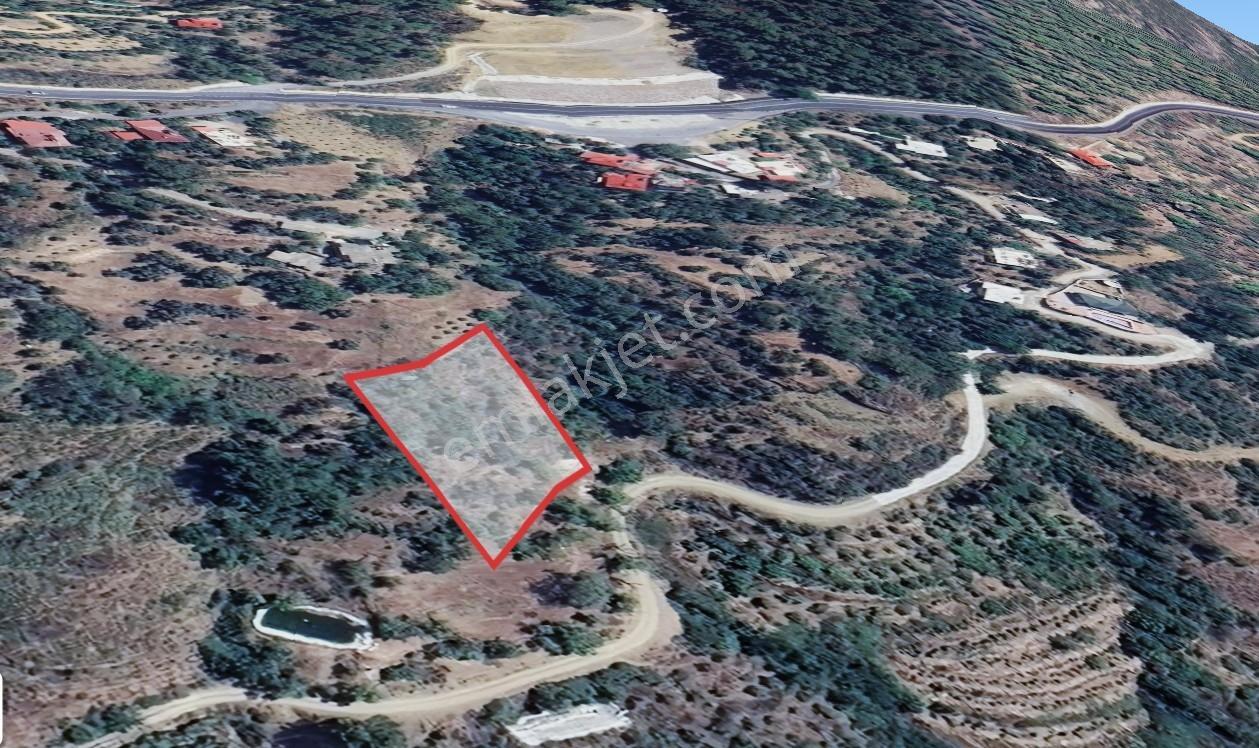 Denıze Ve D400' E Yakın, Full Denız Manzaralı Yatırımlık Tarla
