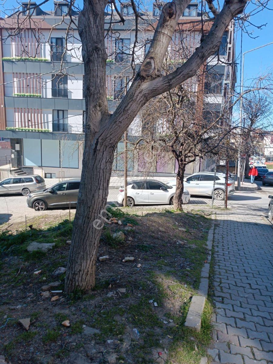 İstanbul Arnavutköy'de Tek Tapu Taşoluk Köy İçinde Köşe Arsa - Görsel 4