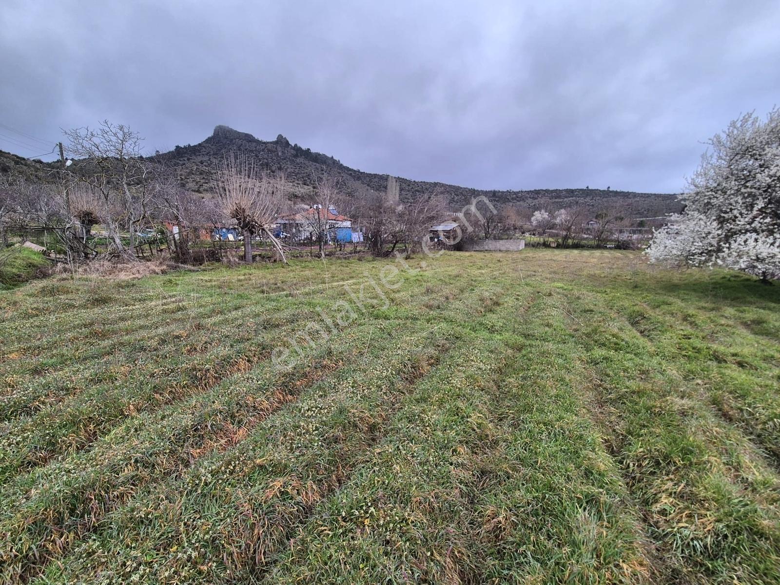 Dursunbey Çiftçi Mah. Toki Yakını 1.473 M2 Bahçe - Görsel 3