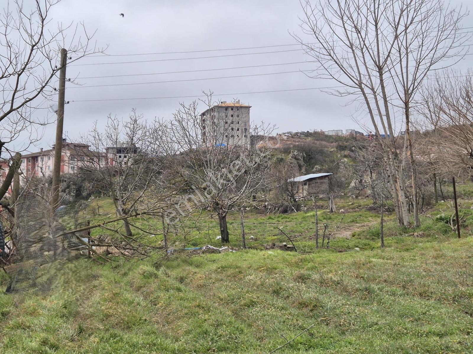 Dursunbey Çiftçi Mah. Toki Yakını 1.473 M2 Bahçe - Görsel 5