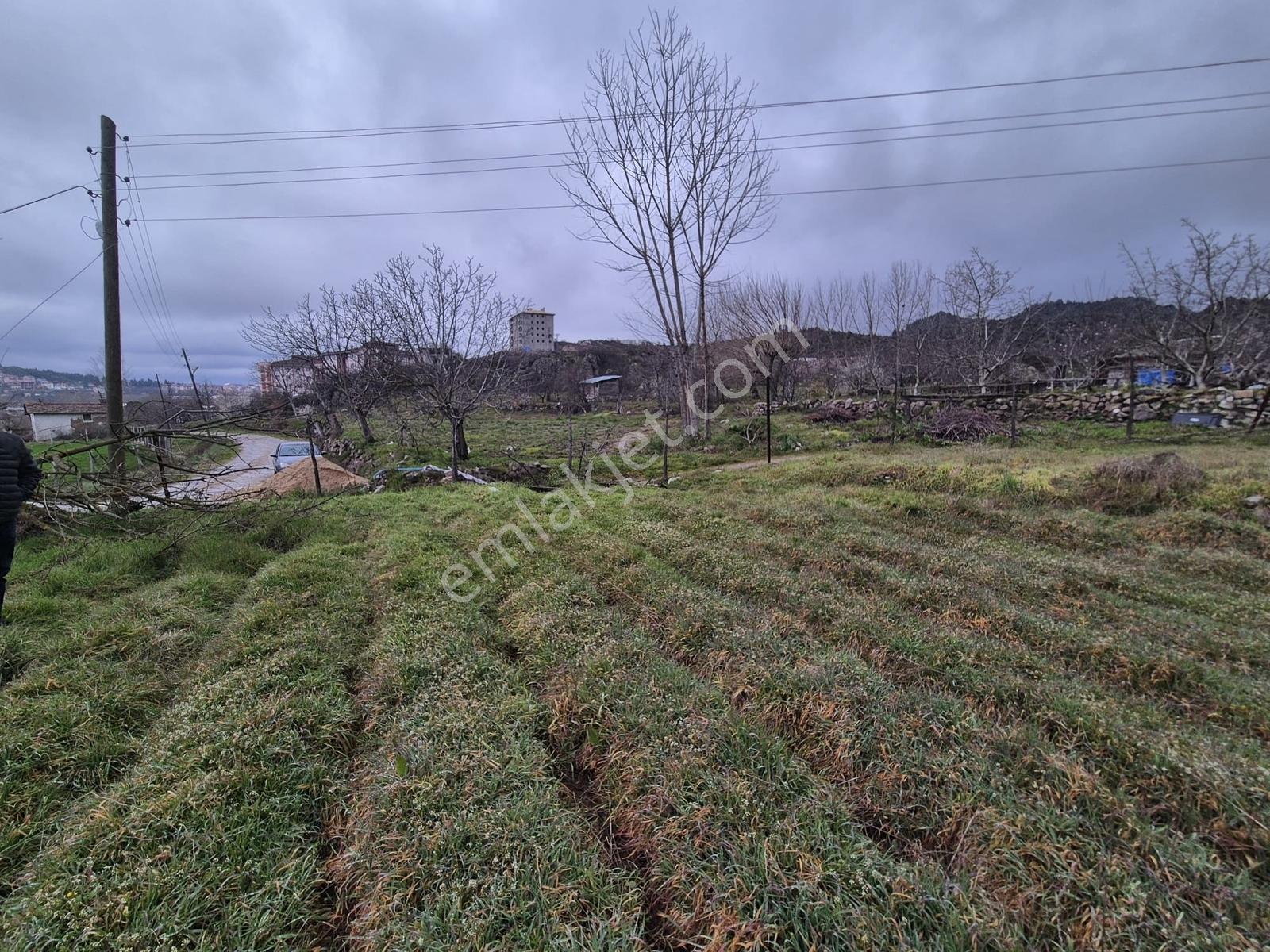 Dursunbey Çiftçi Mah. Toki Yakını 1.473 M2 Bahçe - Görsel 2