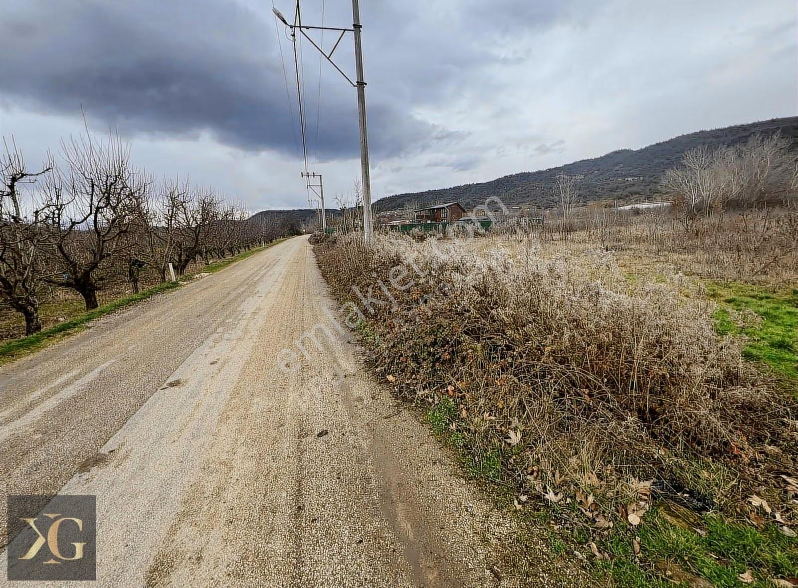 Pruva'dan Gölcükte Satılık Armut Bahçesi - Görsel 4