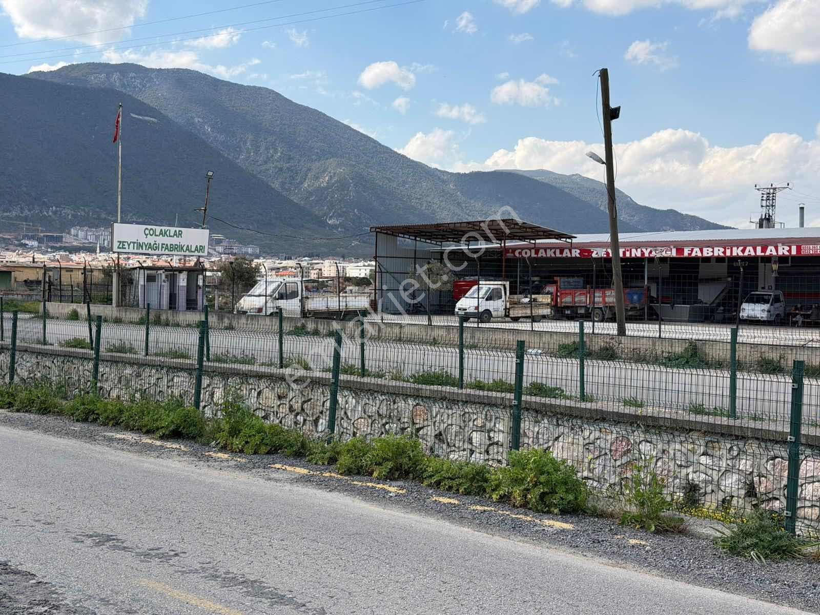 Osb'ye Sınır! Otoyola 600 Metre - Kaçırılmayacak Kupon Tarla - Görsel 10