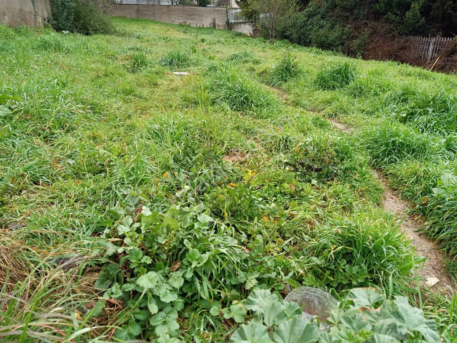 Çengelköy Realist'den 300m2 Güzeltepe Mahallesinde Arsa
