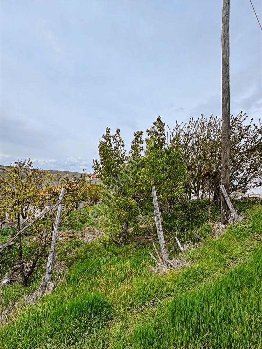 Hürriyet Mahallesi'nde 2+1 564 M2 Arsa İçinde Müstakil Ev - Görsel 10