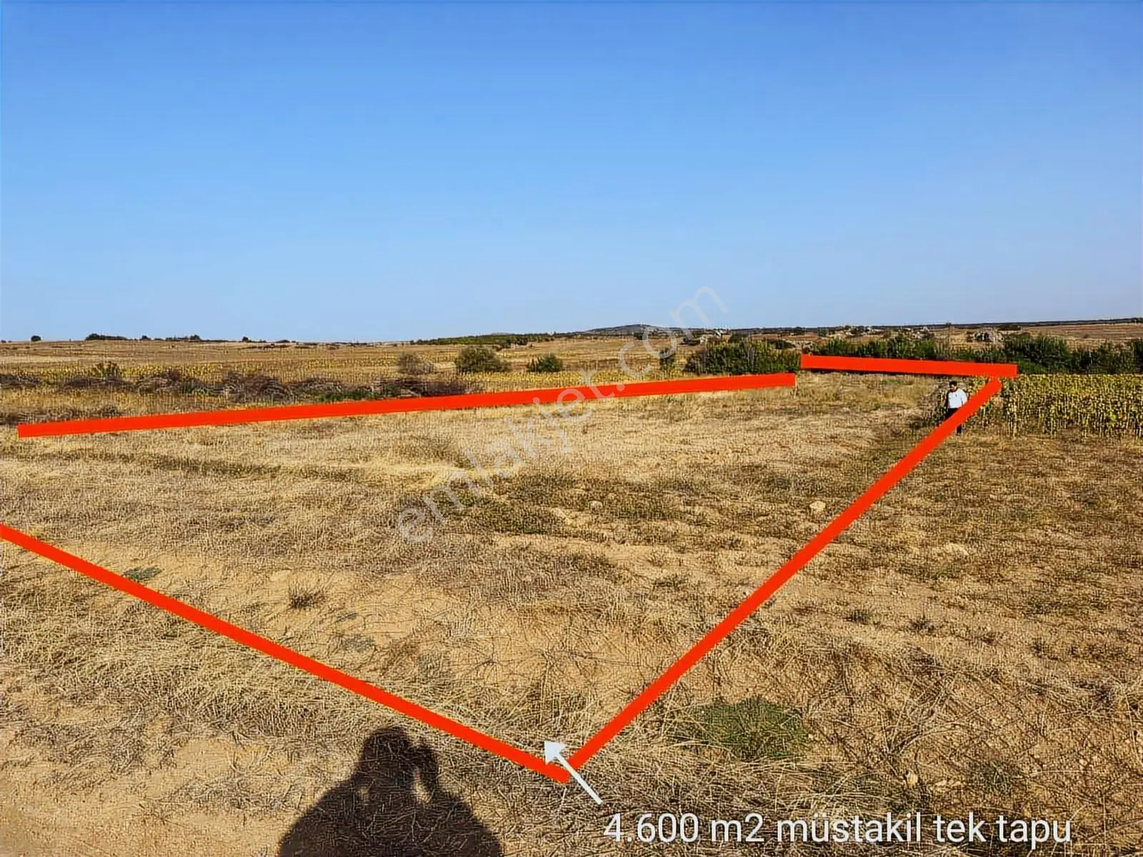 Edirne Süloğlunda Tek Tapulu 4600m2 Yatırımlık Arsa Takas Çıktır - Görsel 4