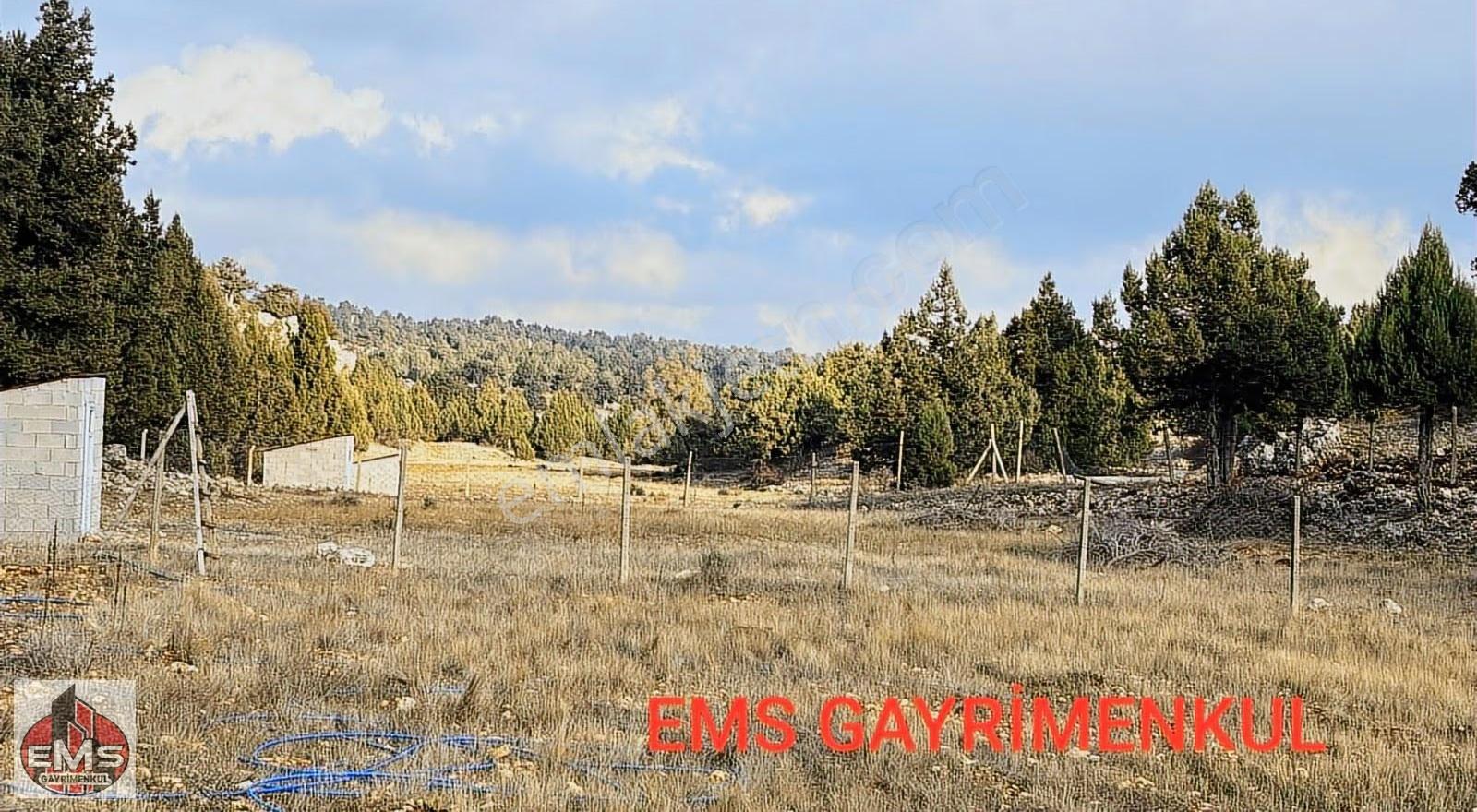 --- Erdemli Güneyli Mahallesi'nde Satılık 7.726 M² Tarla - Görsel 5