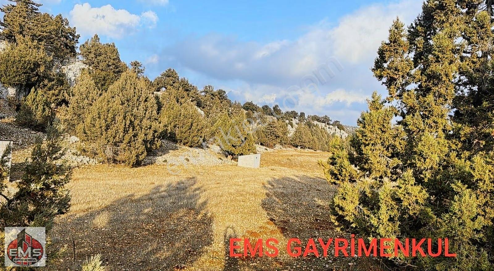--- Erdemli Güneyli Mahallesi'nde Satılık 7.726 M² Tarla - Görsel 3
