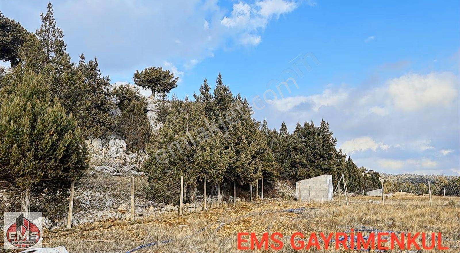 --- Erdemli Güneyli Mahallesi'nde Satılık 7.726 M² Tarla
