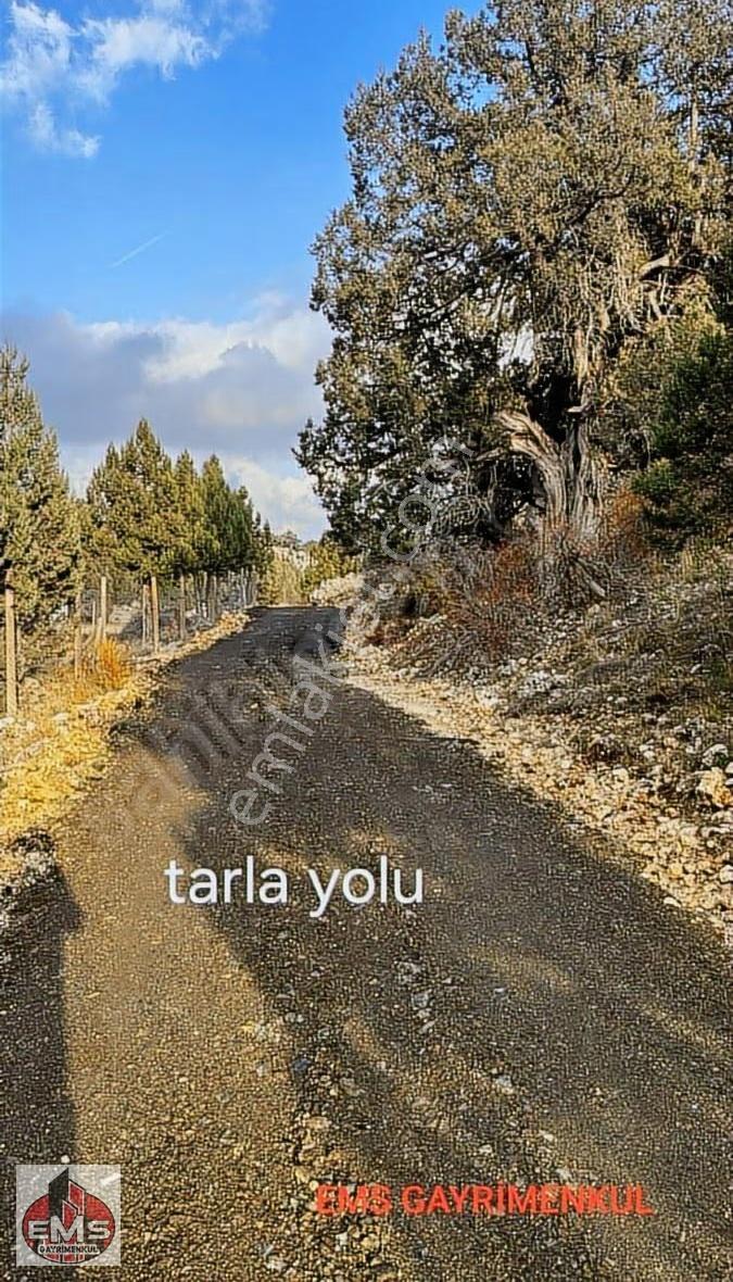 --- Erdemli Güneyli Mahallesi'nde Satılık 7.726 M² Tarla - Görsel 4