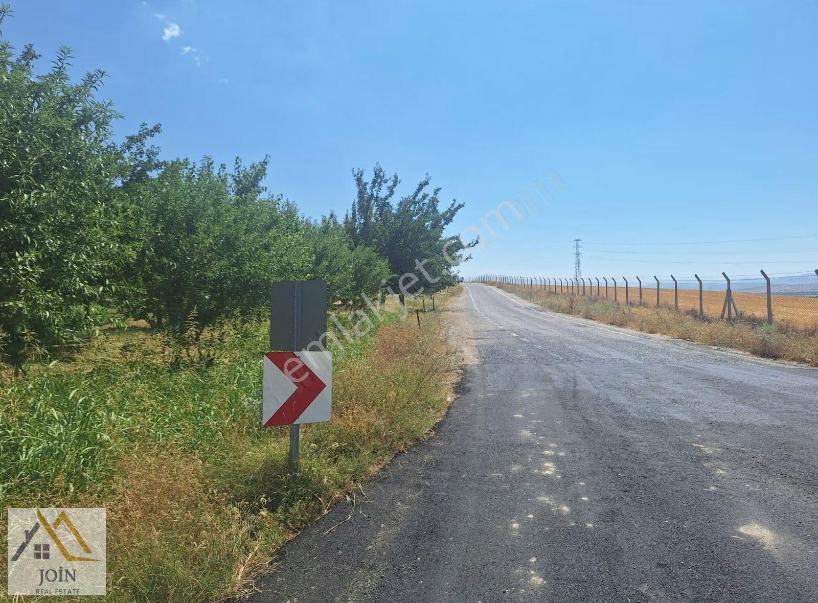 Malatya Hava Limanına Yakın Mesefade Kayısı Bahçesi - Görsel 8