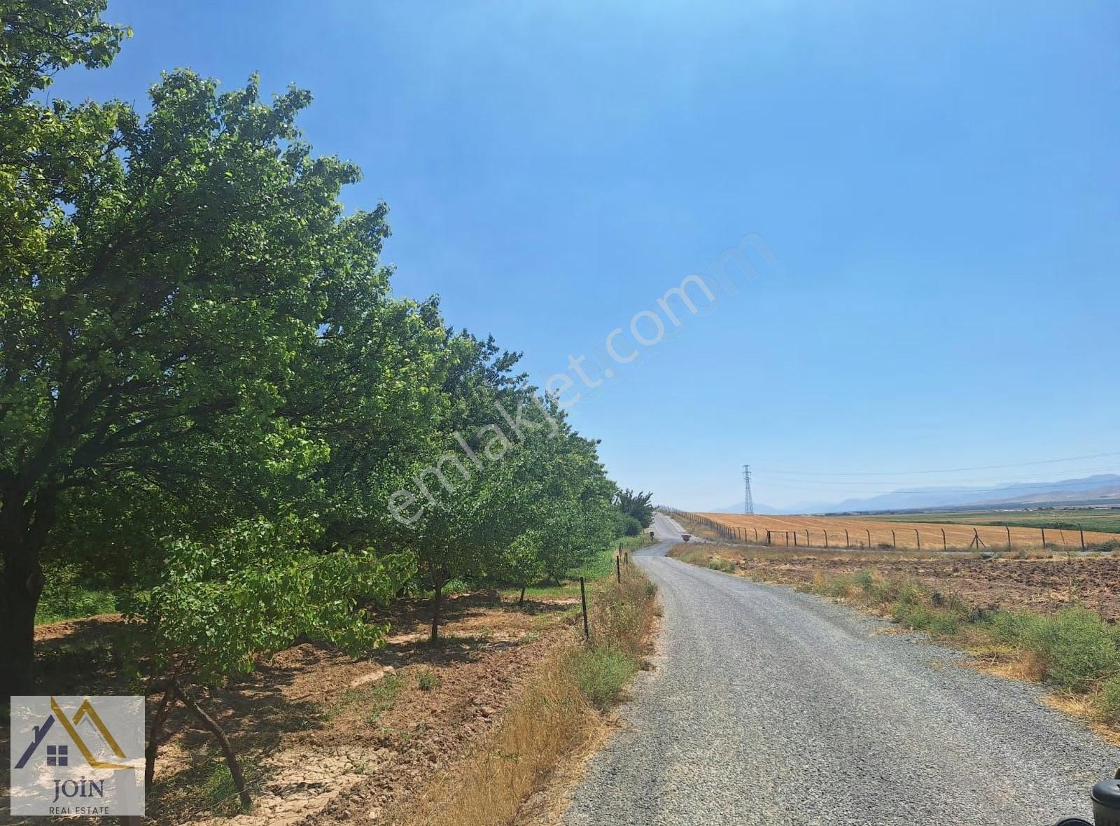 Malatya Hava Limanına Yakın Mesefade Kayısı Bahçesi - Görsel 3