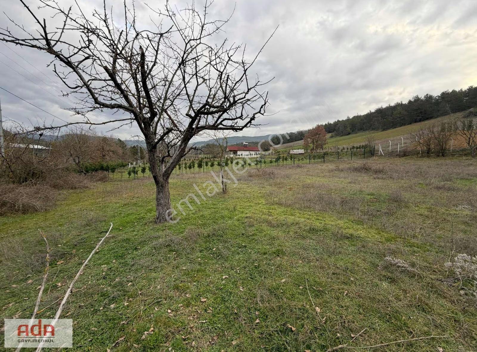 Geyvede Doğayla İç İçe, Yerleşim İçin Uygun Satılık Arazi - Görsel 15