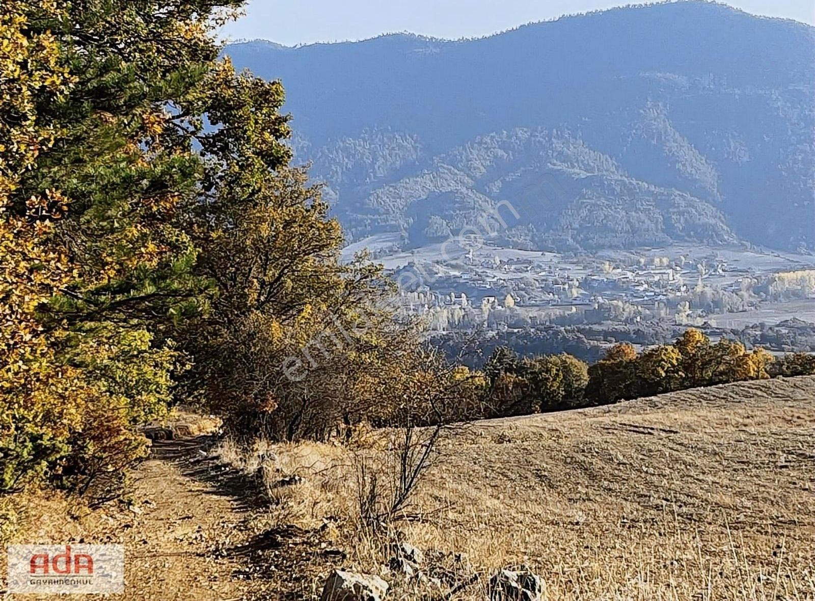 Ada Gayrimenkulden Taraklıda 3700m2 Yola Cephe Arazi