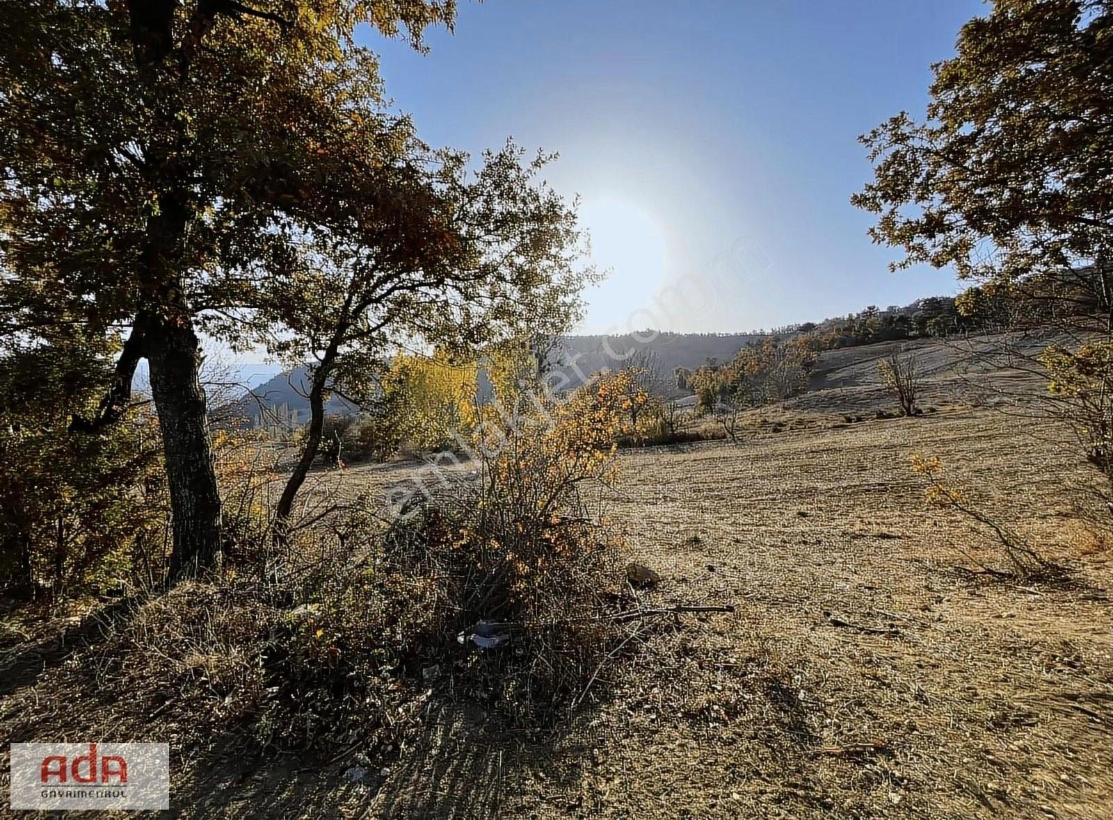 Ada Gayrimenkulden Taraklıda 3700m2 Yola Cephe Arazi - Görsel 3