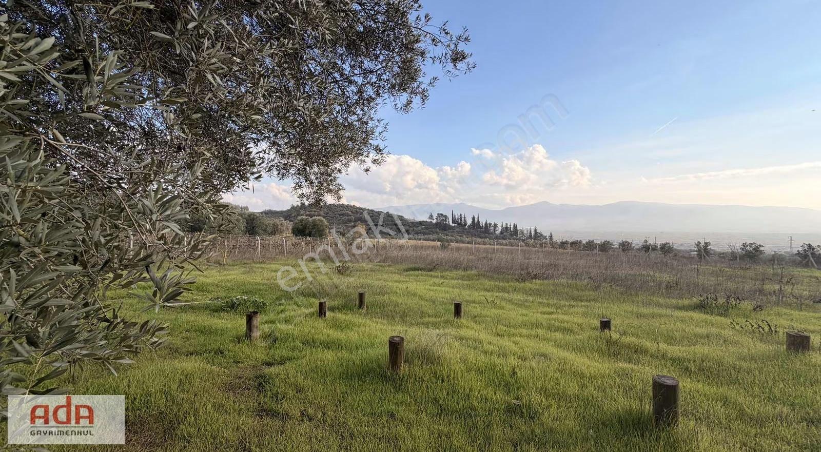 Ada Gayrimenkul Pamukova Pınarlıda 1.782 M² Manzaralı Arazi