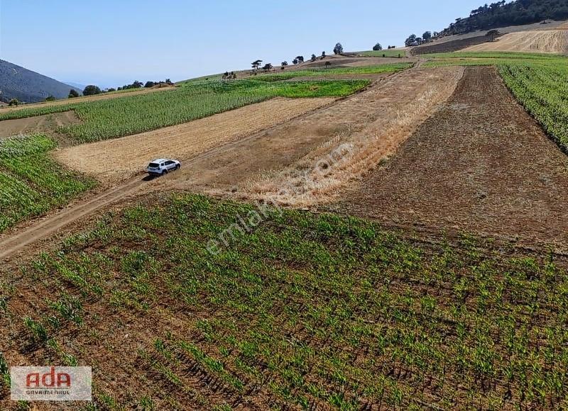 Ada Emlak Karacaören Yol Kenarı Köye Yürüme Mesafesinde 450 M2 - Görsel 10