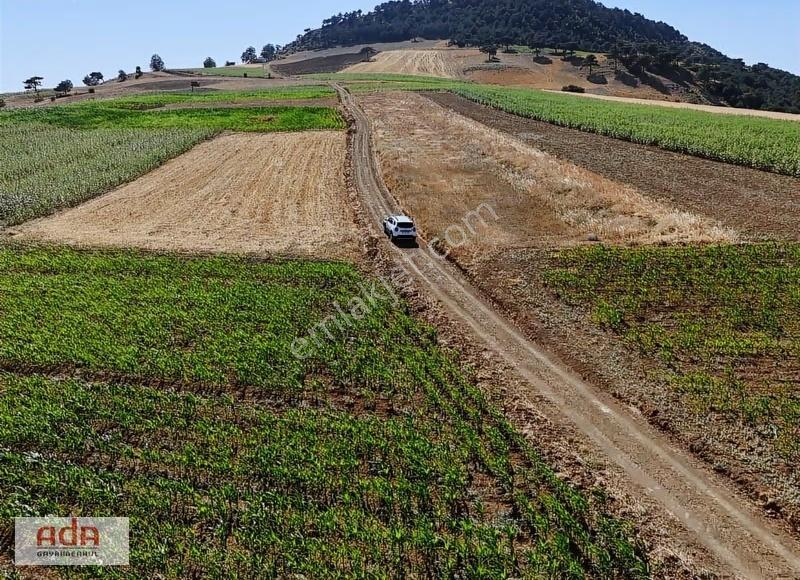 Ada Emlak Karacaören Yol Kenarı Köye Yürüme Mesafesinde 450 M2 - Görsel 4