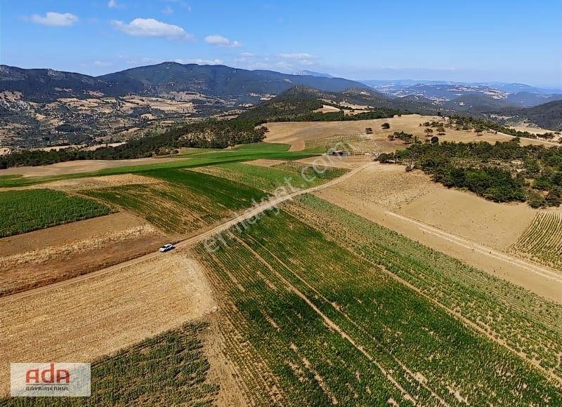Ada Emlak Karacaören Yol Kenarı Köye Yürüme Mesafesinde 450 M2 - Görsel 17