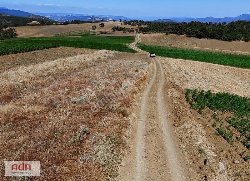 Ada Emlak Karacaören Yol Kenarı Köye Yürüme Mesafesinde 450 M2 - Görsel 13