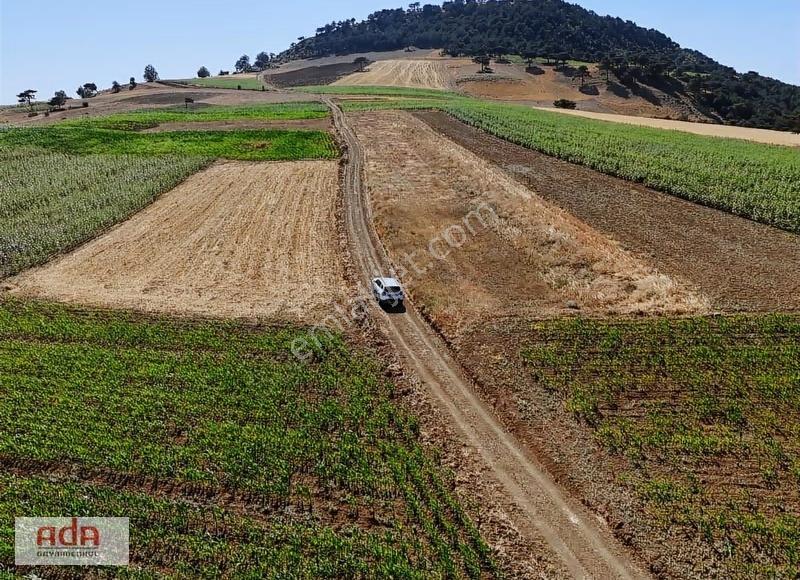 Ada Emlak Karacaören Yol Kenarı Köye Yürüme Mesafesinde 450 M2 - Görsel 9