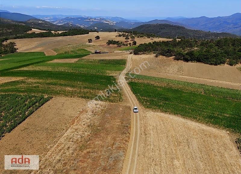 Ada Emlak Karacaören Yol Kenarı Köye Yürüme Mesafesinde 450 M2