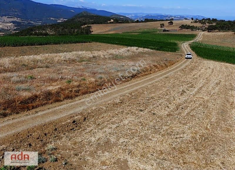 Ada Emlak Karacaören Yol Kenarı Köye Yürüme Mesafesinde 450 M2 - Görsel 2