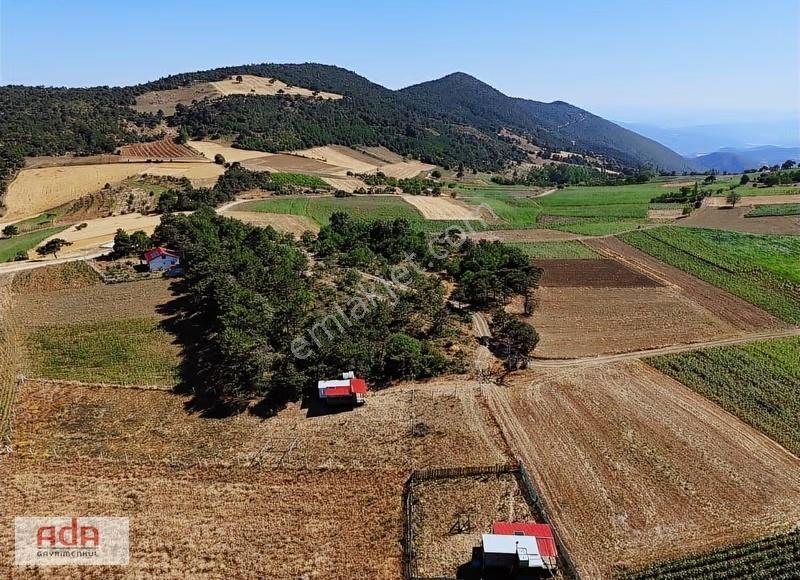 Ada Emlak Karacaören Yol Kenarı Köye Yürüme Mesafesinde 450 M2 - Görsel 19