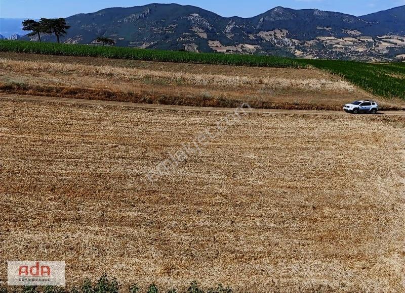 Ada Emlak Karacaören Yol Kenarı Köye Yürüme Mesafesinde 450 M2 - Görsel 20