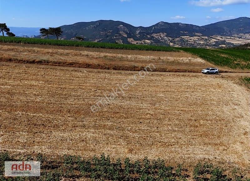 Ada Emlak Karacaören Yol Kenarı Köye Yürüme Mesafesinde 450 M2 - Görsel 5