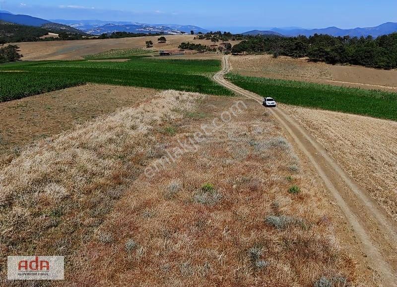 Ada Emlak Karacaören Yol Kenarı Köye Yürüme Mesafesinde 450 M2 - Görsel 18