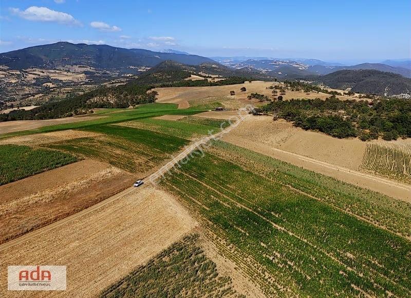 Ada Emlak Karacaören Yol Kenarı Köye Yürüme Mesafesinde 450 M2 - Görsel 6