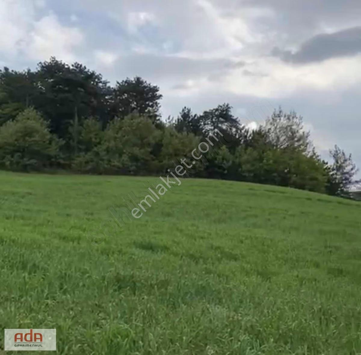 Ada Emlak Geyvede Yol Cepheli,tarıma Uygun 3.640 M² Arazi - Görsel 3