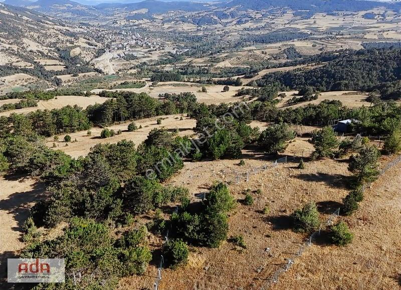 *ada Emlak*yol Manzara Yerleşimin Olduğu Yatırımlık İdeal Arazi - Görsel 18