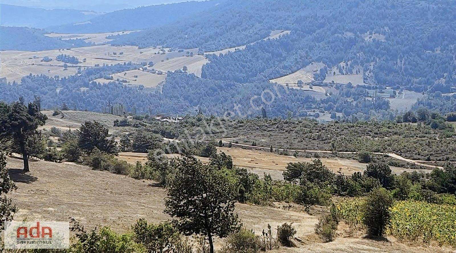 Ada Gayrimenkul Karacaören Mah 1700m2 Manzaralı Satılık - Görsel 13