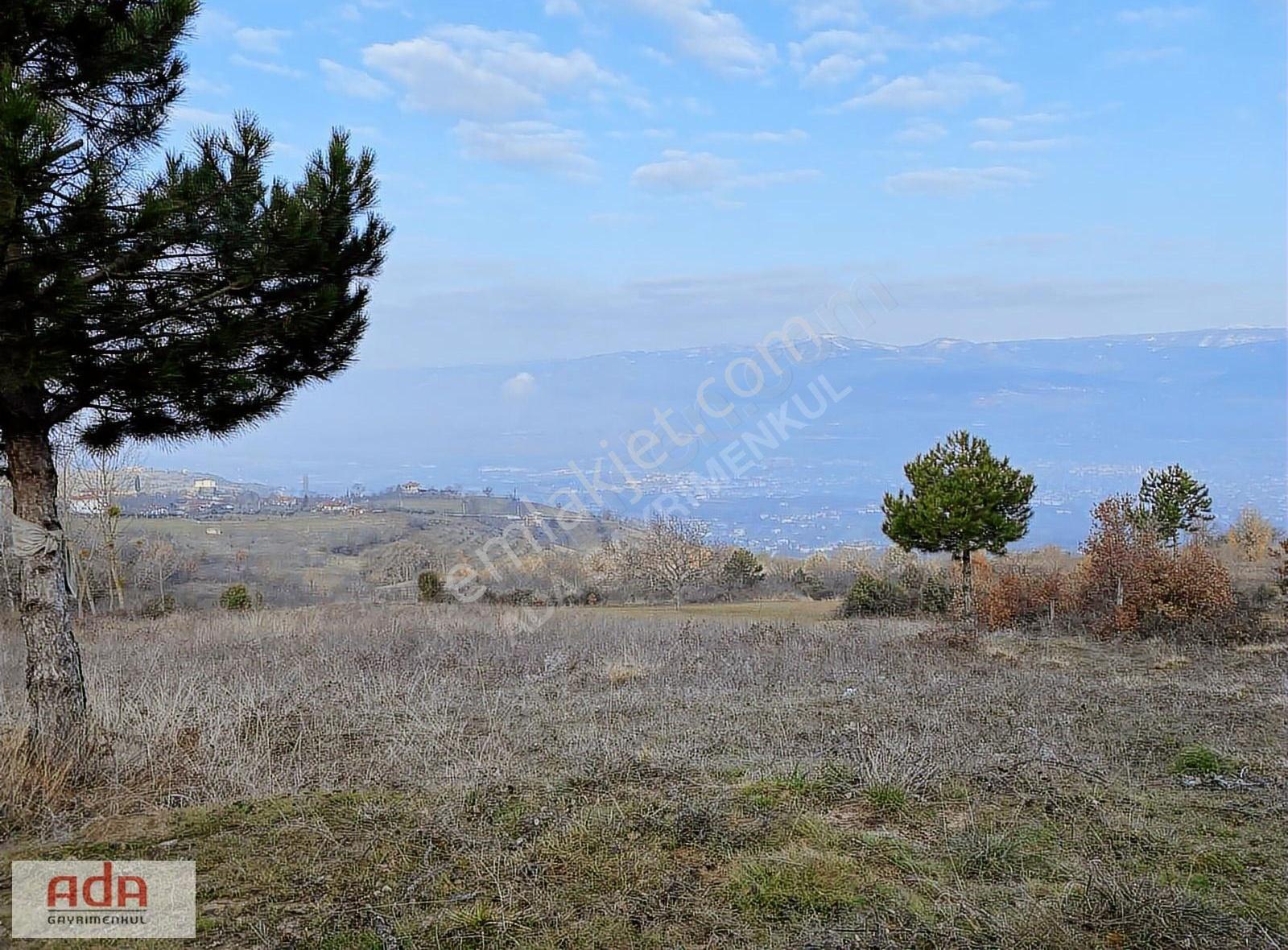 Ada Gayrimenkulden Geyve Hırka Mah.2780m2 Fırsat Arazimiz - Görsel 2