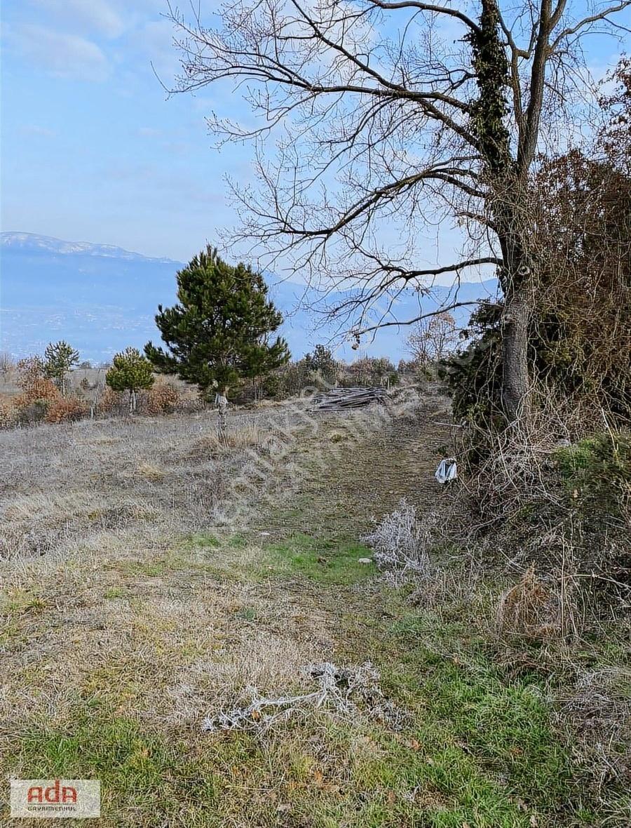 Ada Gayrimenkulden Geyve Hırka Mah.2780m2 Fırsat Arazimiz - Görsel 7