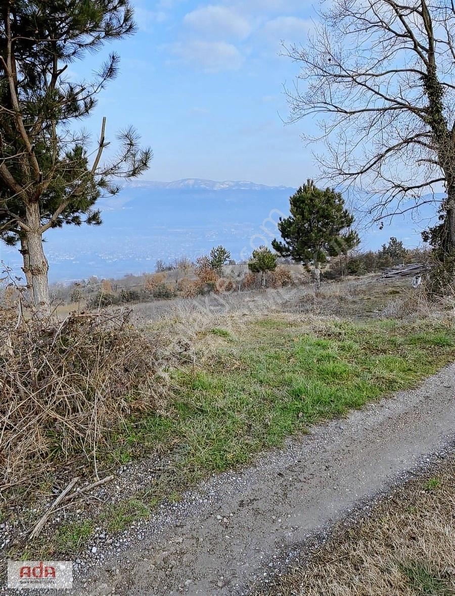 Ada Gayrimenkulden Geyve Hırka Mah.2780m2 Fırsat Arazimiz - Görsel 9